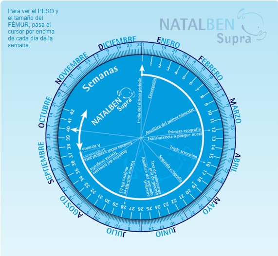 Gestograma la rueda del embarazo
