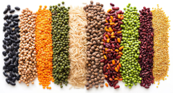 Variedad de legumbres