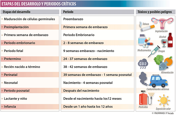 Embrión y feto: Impacto de fármacos y tóxicos