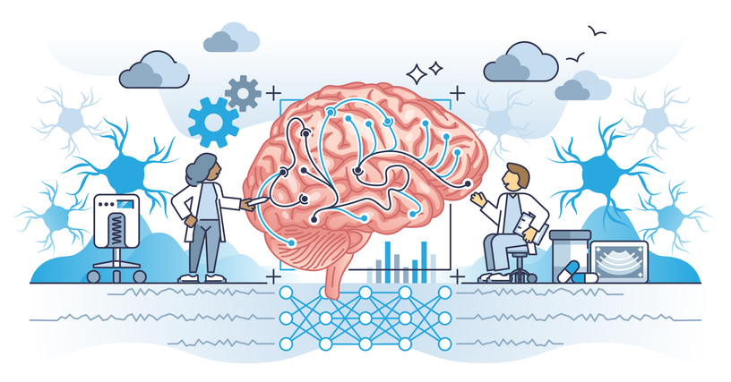 Desarrollo del cerebro en el feto y el DHA