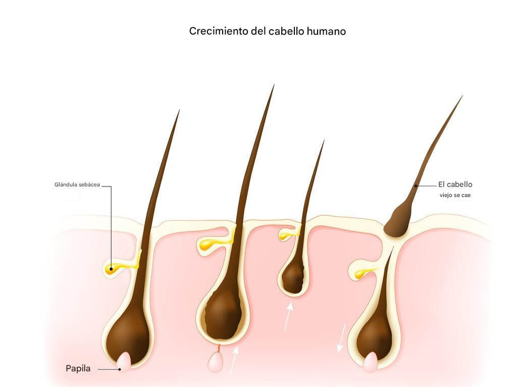 El cuidado del pelo en el embarazo