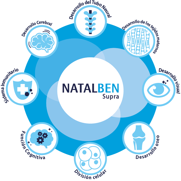 Papel de los principales componentes de NATALBEN Supra