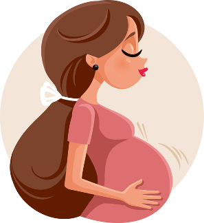Qué está pasando aquí dentro: Una guía esencial con todo lo que sucede  semana a semana del embarazo