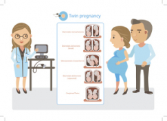 A las cuantas semanas discount se detecta un embarazo gemelar