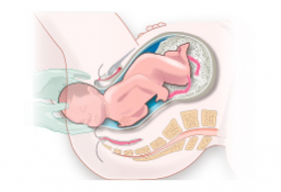 Symptoms in your ninth month of pregnancy